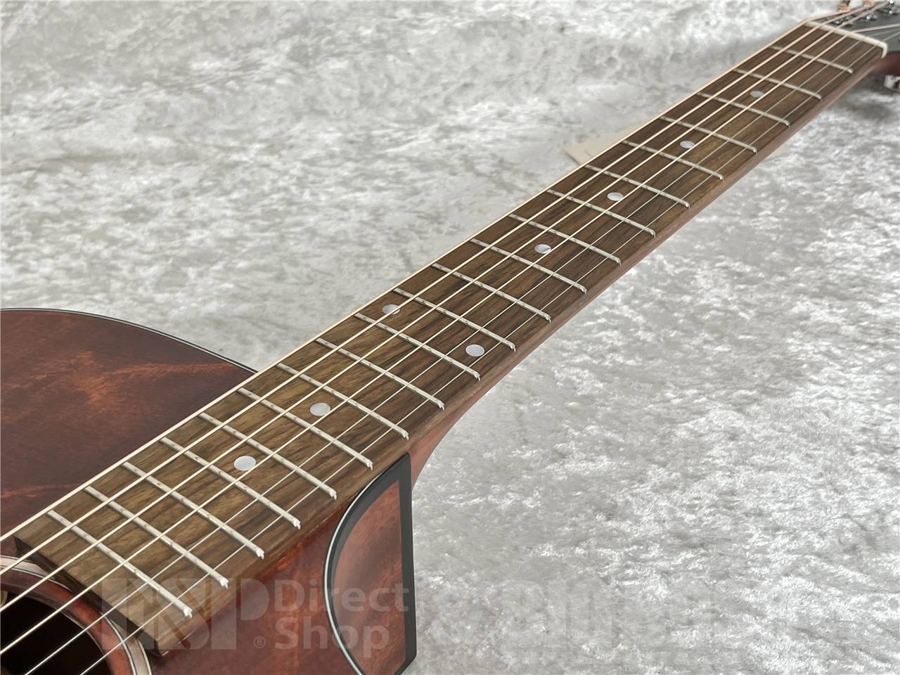 【即納可能】Eastman(イーストマン) PCH1-GACE-CLA (エレクトリック・アコースティック)お茶の水駅前店・別館