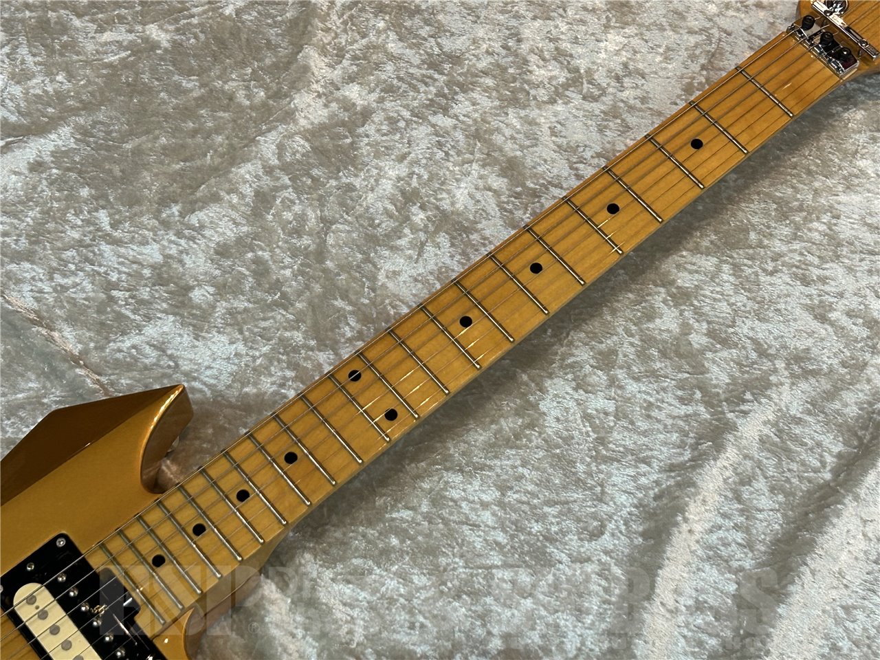 【中古品/即納可能】Killer(キラー) KG-Exploder (Vintage Gold)広島店