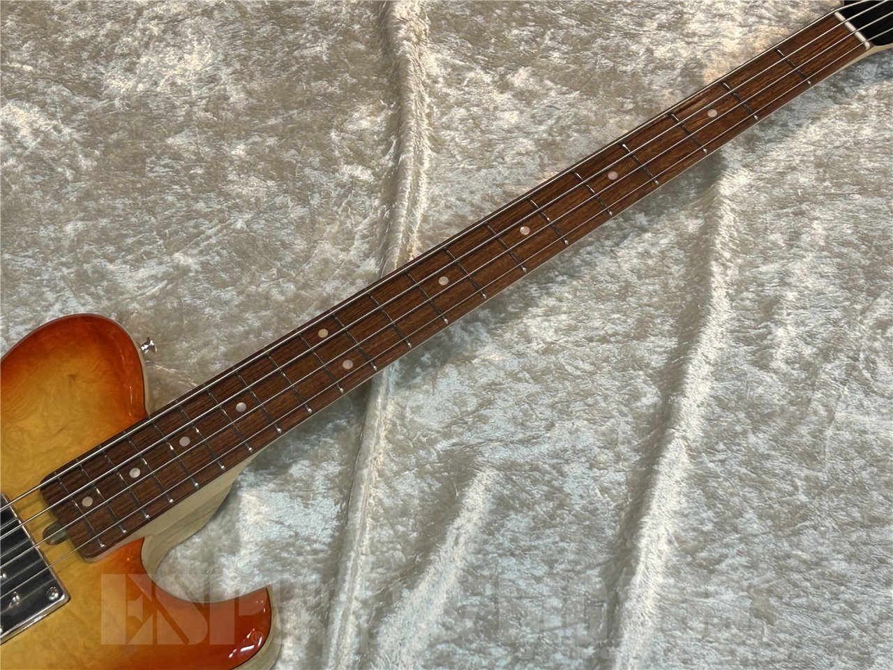 【即納可能】T.S factory 151A-TSSP Maple (All Lacquer Cherry Burst Top / Natural Back Matt Finish) 広島店