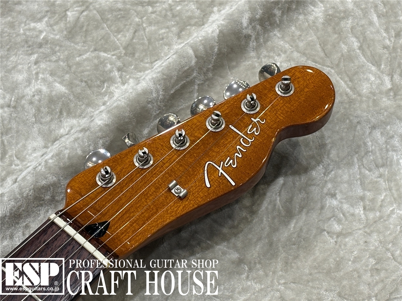【USED】Fender Offset Telecaster Limited Mahogany / 限定カラー　渋谷店