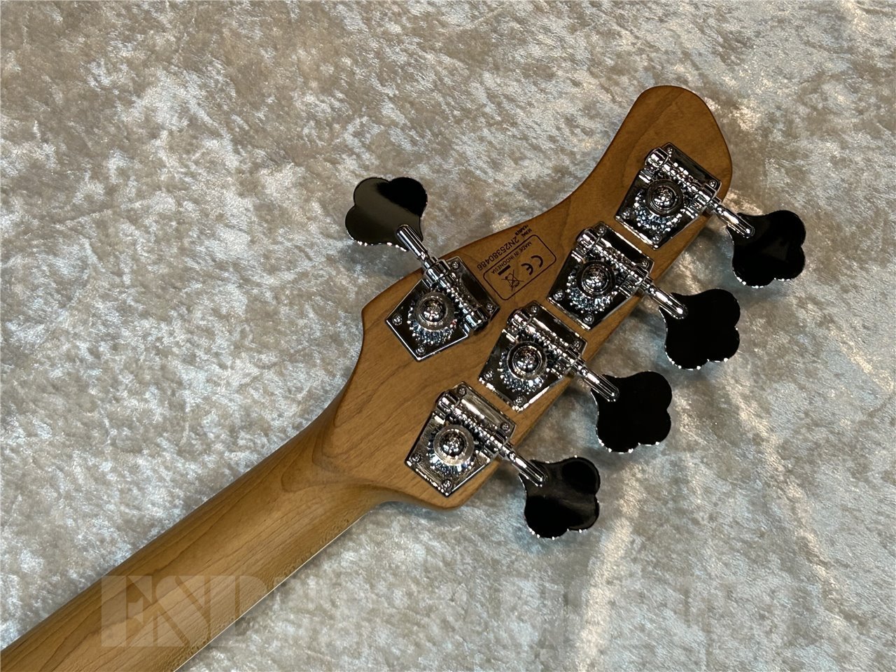 【即納可能】【OUTLET】Sire V8 5st (Natural) 広島店