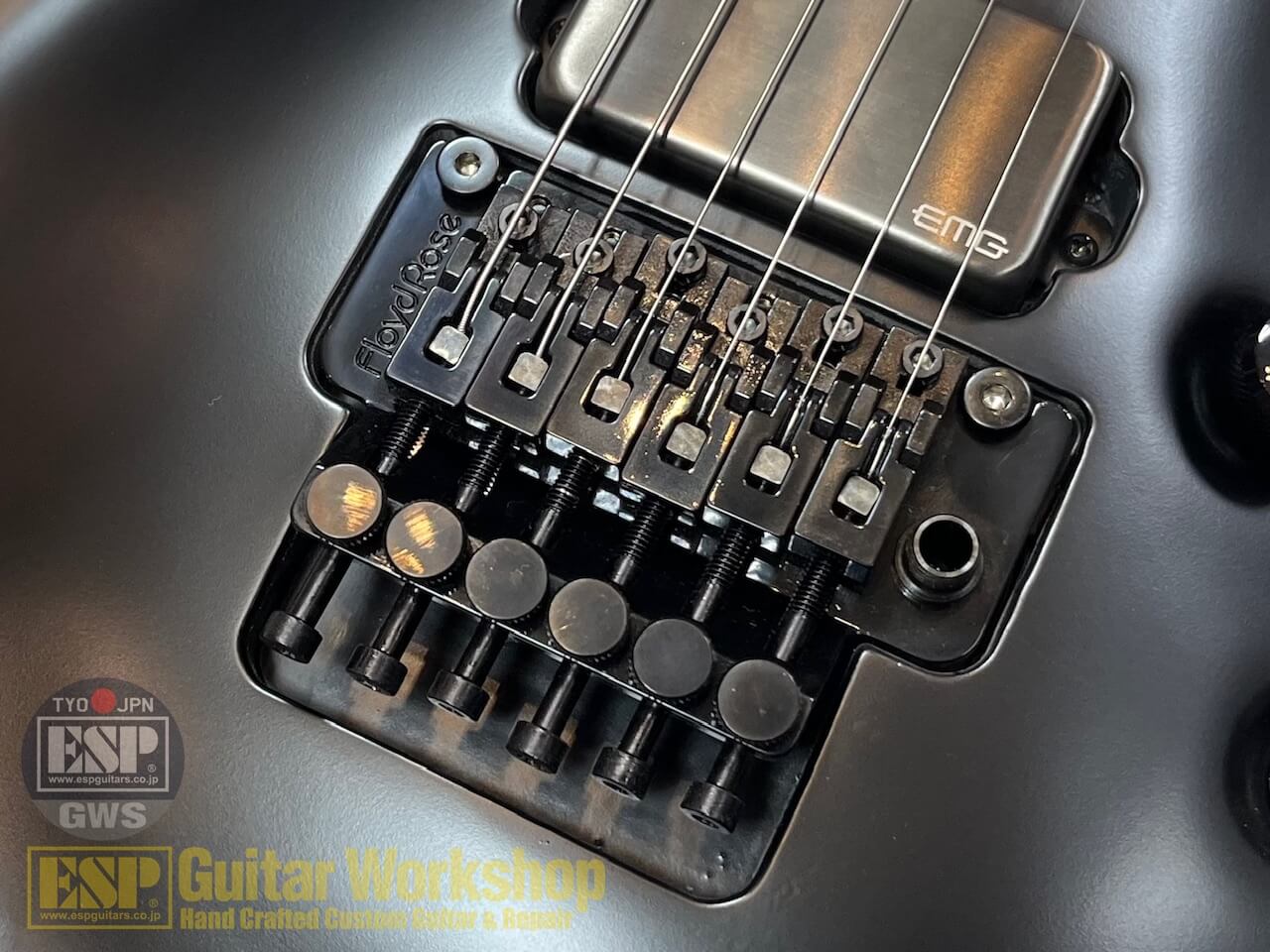 【即納可能】E-II FRX FM/Black Satin GWS