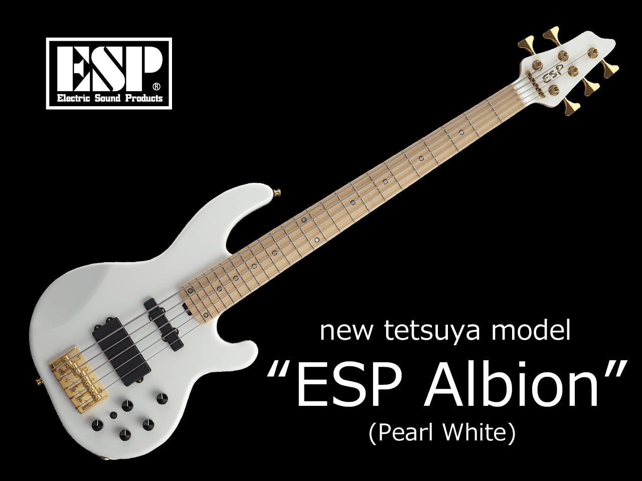 受注生産 Esp イーエスピー Albion L Arc En Ciel Tetsuyaモデル Esp直営 Bigboss オンライン マーケット ギター ベース