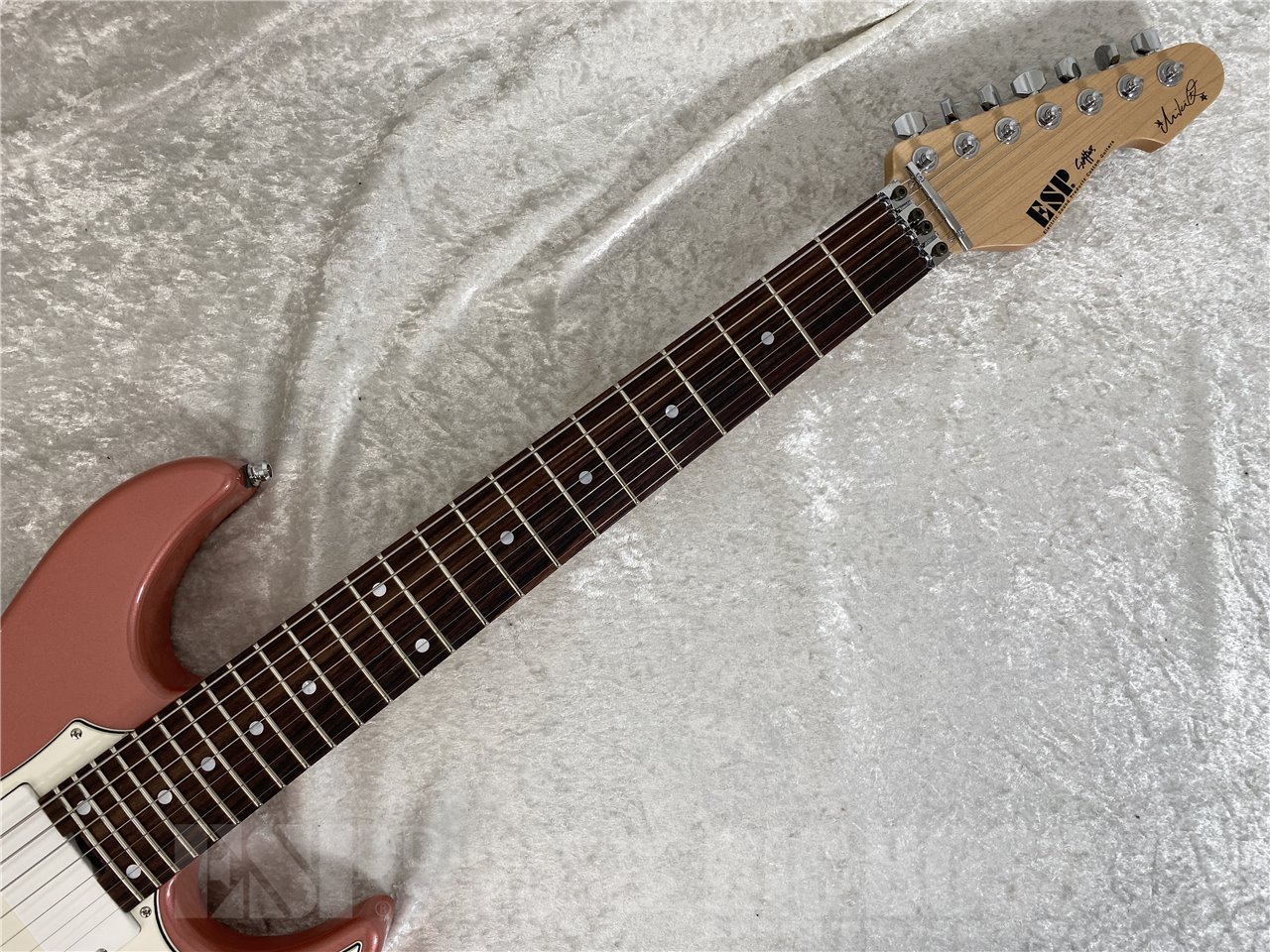 【即納可能】ESP(イーエスピー) SNAPPER-7 Fujioka Custom (藤岡幹大モデル)【7弦ギター】お茶の水駅前店(東京)