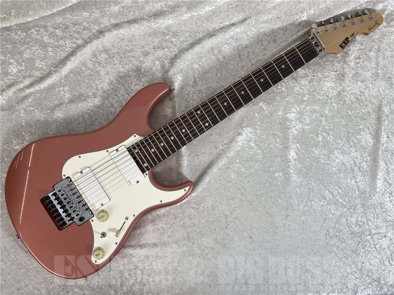 【受注生産】ESP(イーエスピー) SNAPPER-7 Fujioka Custom (藤岡幹大モデル)【7弦ギター】