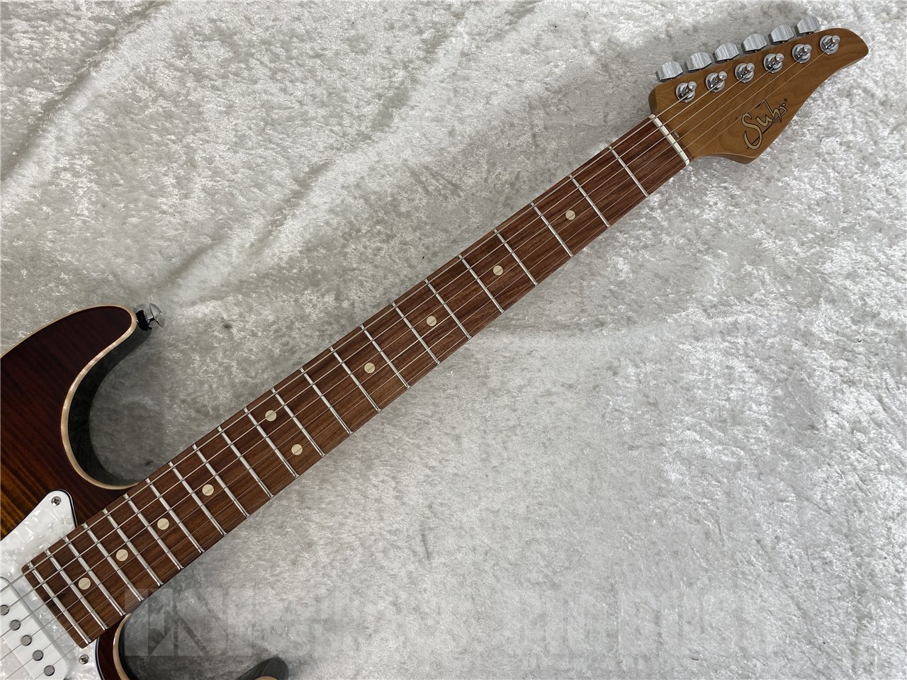 【即納可能】Suhr(サー) Standard Plus / Bengal Burst / Pau Ferro お茶の水駅前店(東京)