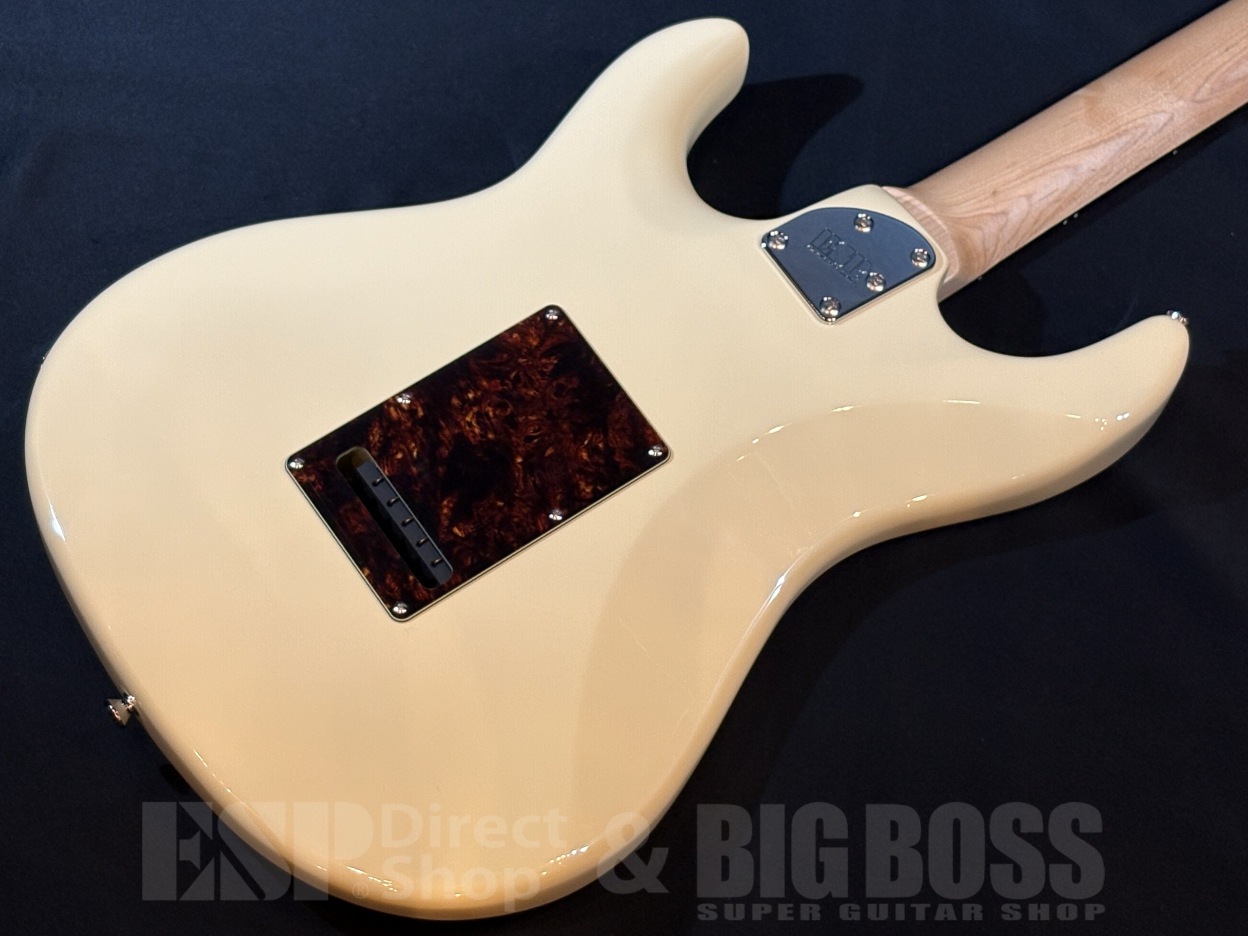 【即納可能】EDWARDS(エドワーズ) E-SNAPPER-AL/R / Off white 大阪店