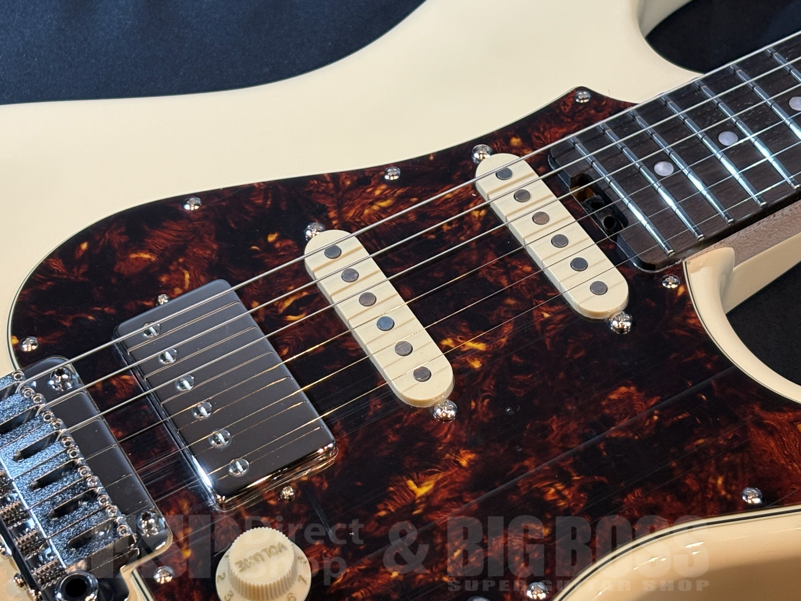 【即納可能】EDWARDS(エドワーズ) E-SNAPPER-AL/R / Off white 大阪店