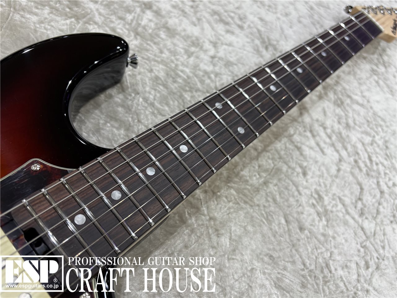 【即納可能】EDWARDS / E-SNAPPER-AL/R / 3 Tone Sunburst 渋谷店