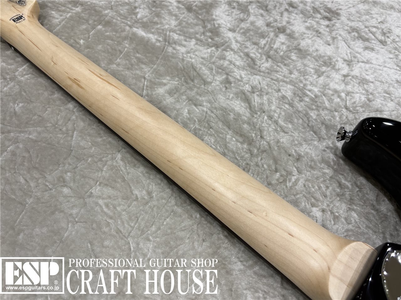 【即納可能】EDWARDS / E-SNAPPER-AL/R / 3 Tone Sunburst 渋谷店