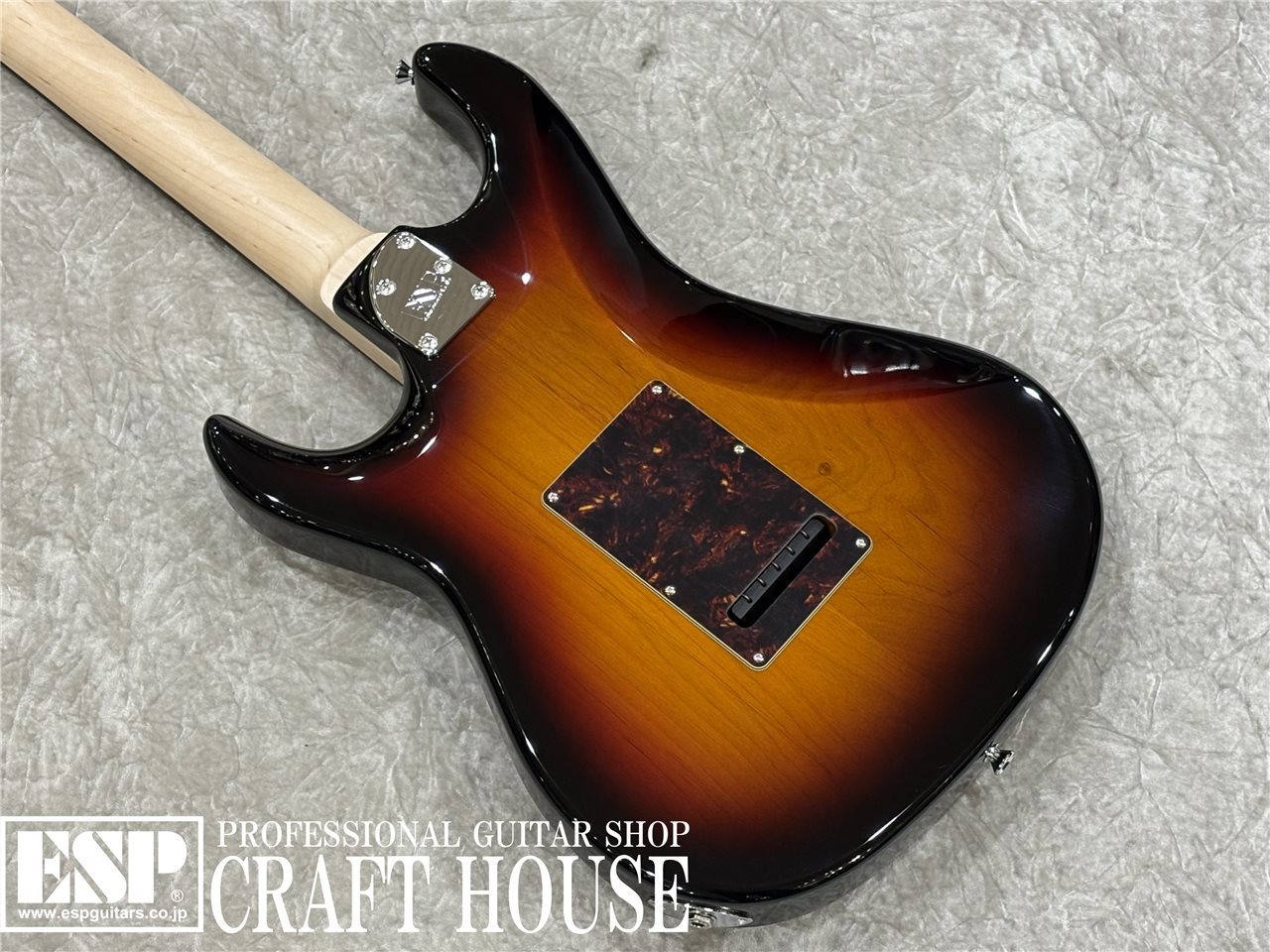 【即納可能】EDWARDS / E-SNAPPER-AL/R / 3 Tone Sunburst 渋谷店