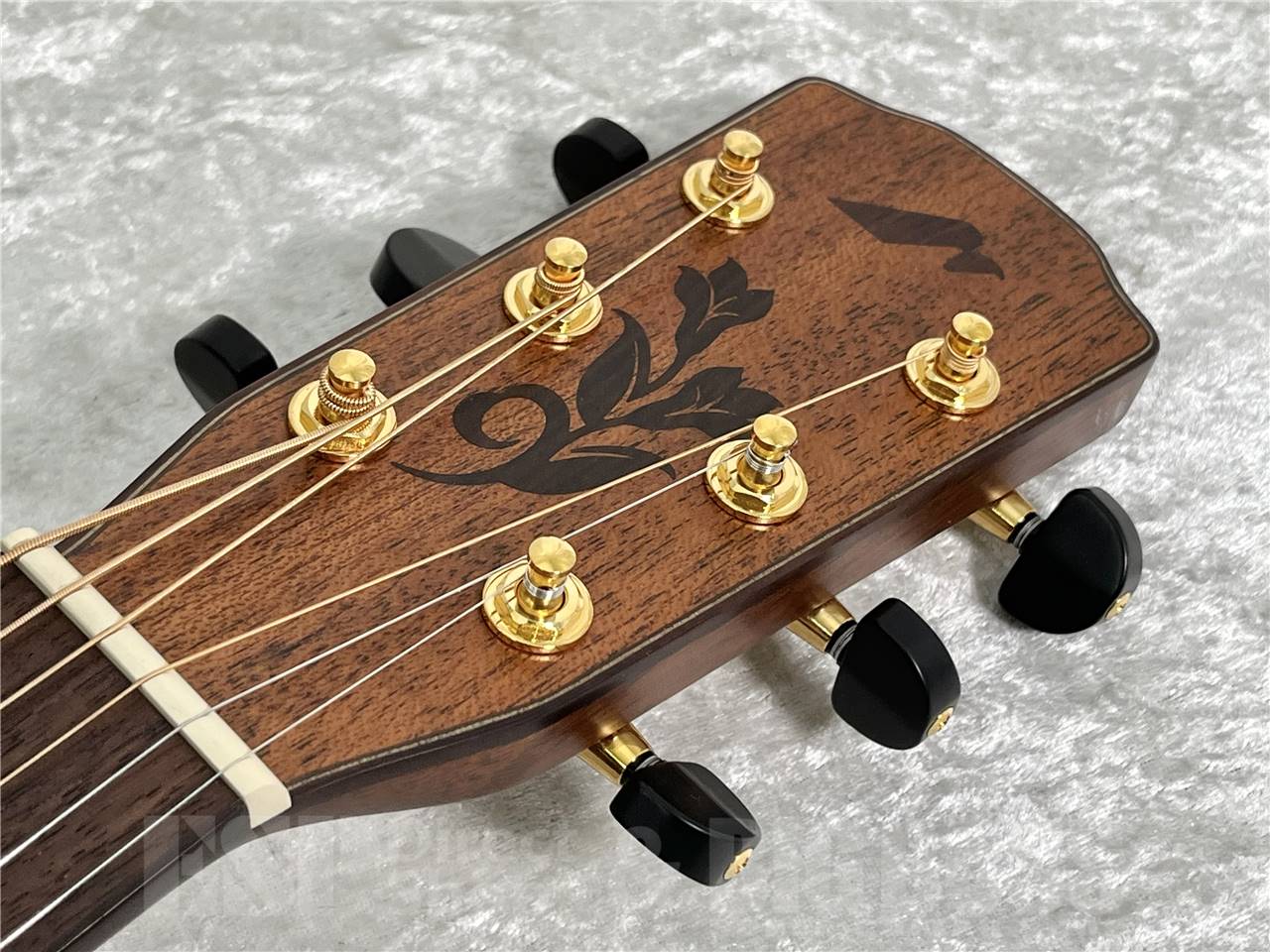 【即納可能/OUTLET】Morris(モーリス) SC-16U  S SERIES 打田十紀夫氏シグネチャーモデル  (アコースティックギター)お茶の水駅前店・別館【新春初売りお年玉セール対象商品】