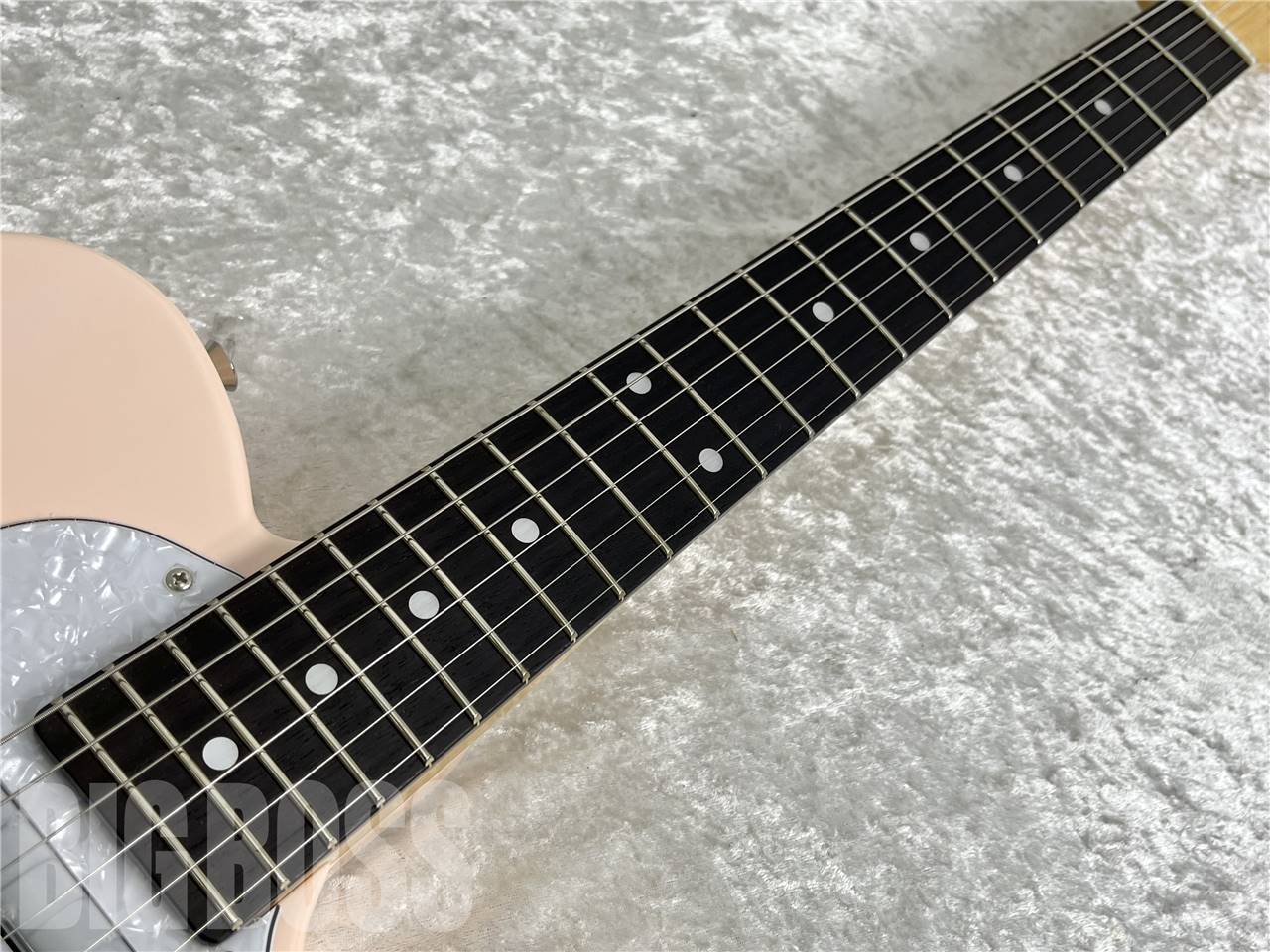 【即納可能/OUTLET】TOKAI(トーカイ)  ATE-101-THN / Shell Pink  お茶の水駅前店・別館【新春初売りお年玉セール対象商品】