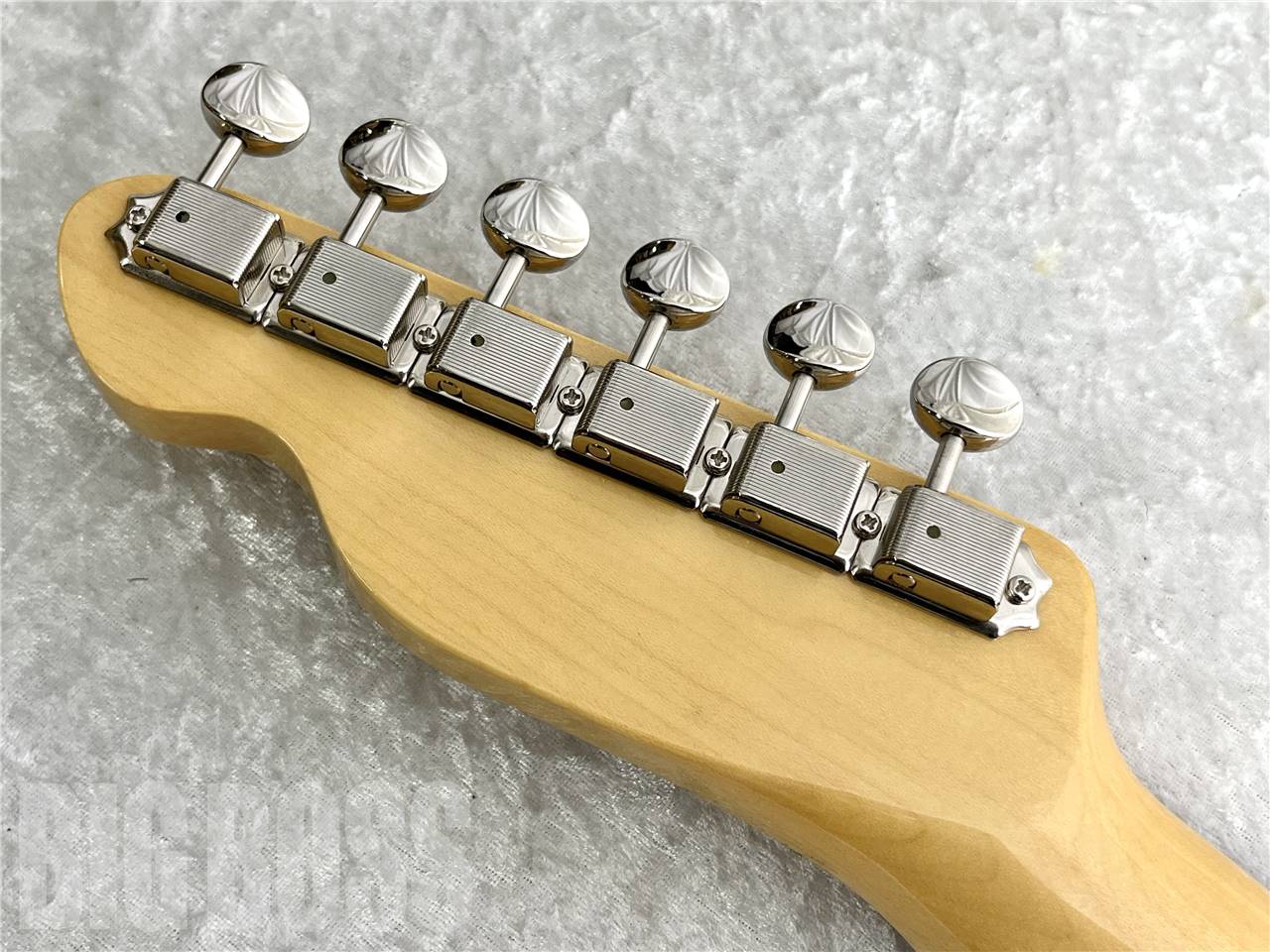 【即納可能/OUTLET】TOKAI(トーカイ)  ATE-101-THN / Shell Pink  お茶の水駅前店・別館【新春初売りお年玉セール対象商品】