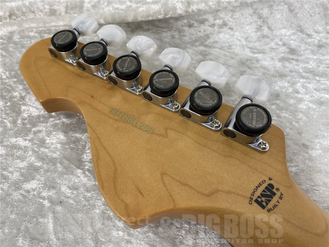 【即納可能】EDWARDS(エドワーズ)Platinum Edition KARMASTER (9mm Parabellum Bullet/滝 善充 Model) お茶の水駅前店(東京)