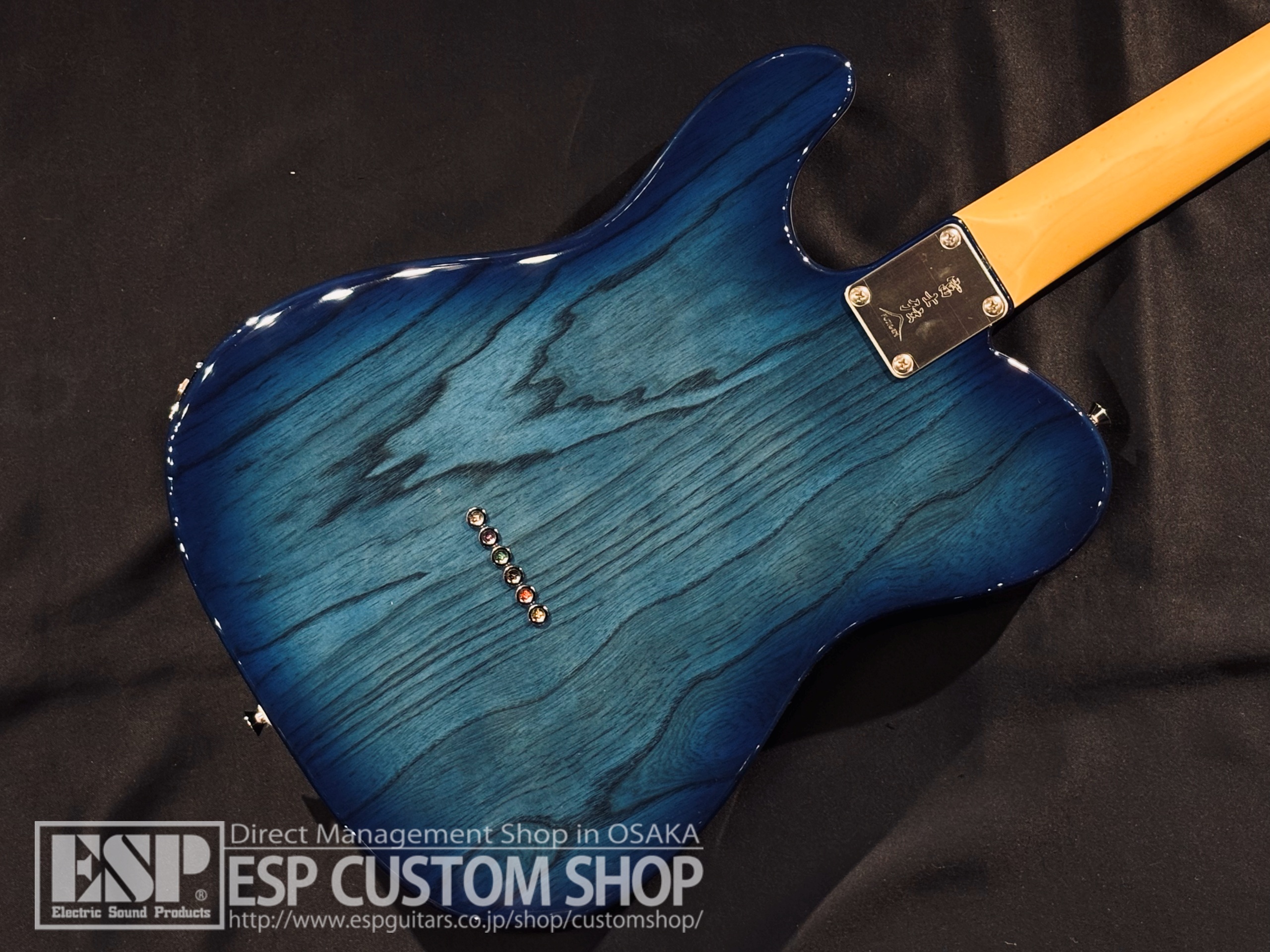 【即納可能】FUJIGEN(FGN) NTE100MAH See-Thru Blue Burst 大阪店