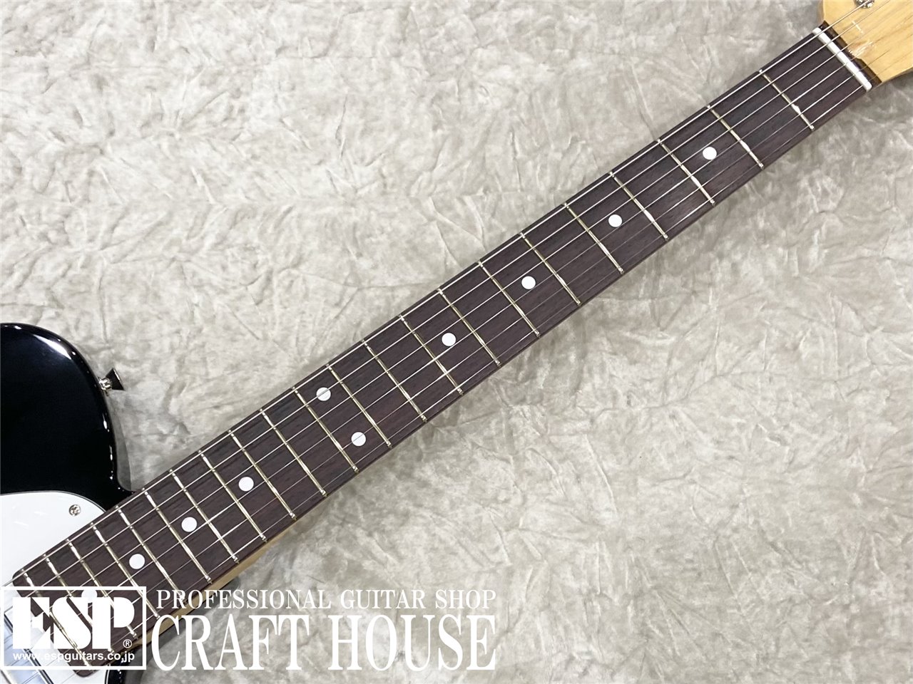 【即納可能】Tokai ATE-101 / Black/R　渋谷店【新春初売りお年玉セール対象商品】