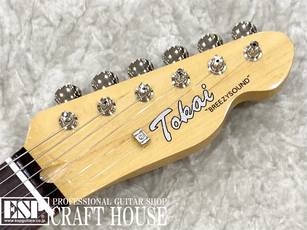 【即納可能】Tokai ATE-101 / Black/R　渋谷店【新春初売りお年玉セール対象商品】