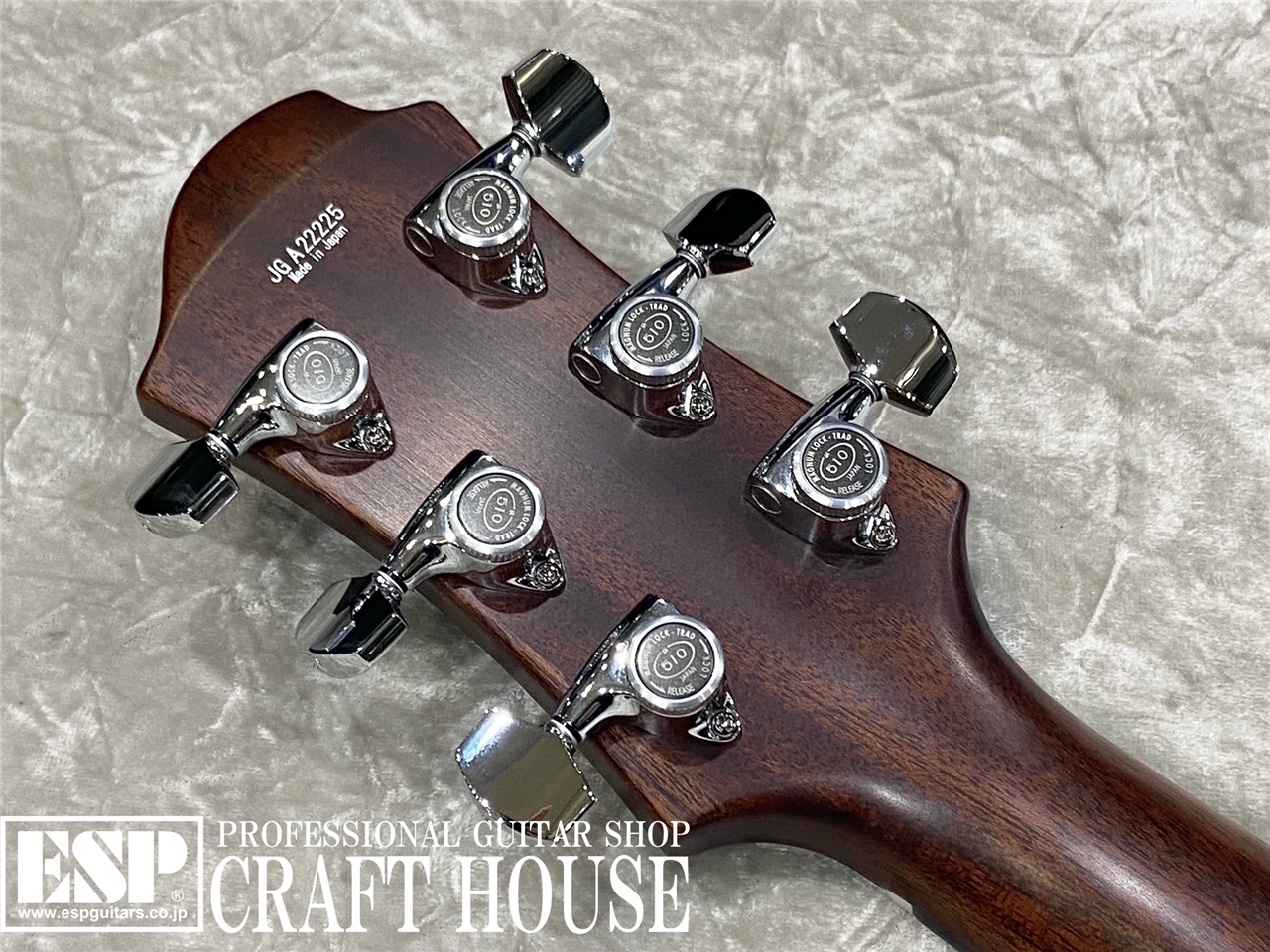 【即納可能】Zemaitis DFG24 3H / Natural　渋谷店【新春初売りお年玉セール対象商品】