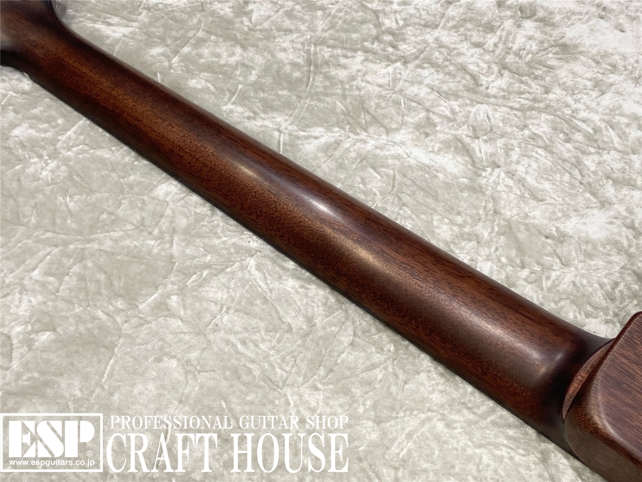 【即納可能】Zemaitis DFG24 2H / Natural　渋谷店【新春初売りお年玉セール対象商品】