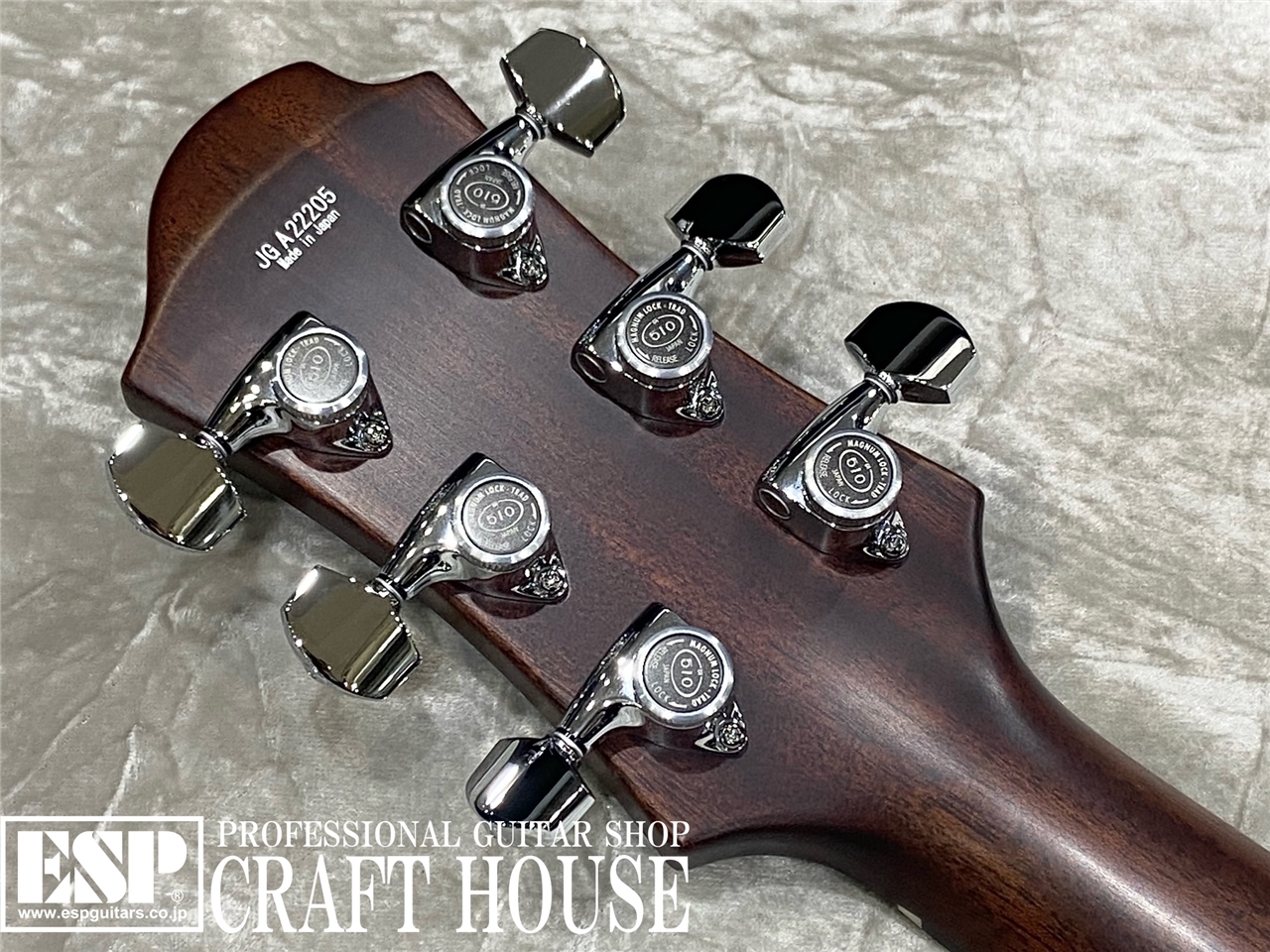 【即納可能】Zemaitis DFG24 2H / Natural　渋谷店【新春初売りお年玉セール対象商品】