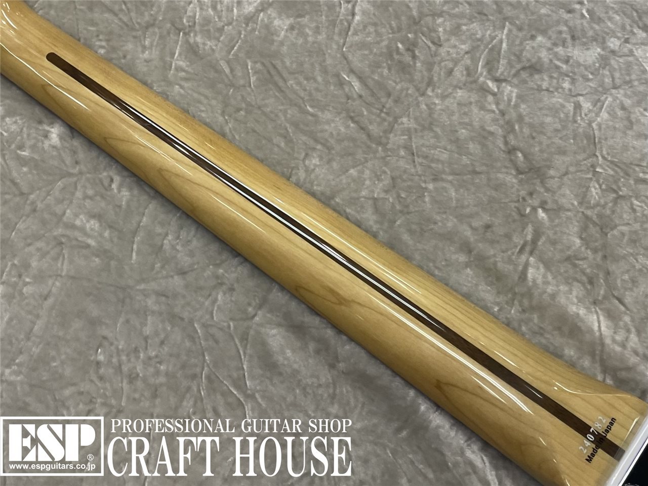 【即納可能】Tokai ATE-101/R / Olympic White 渋谷店【新春初売りお年玉セール対象商品】