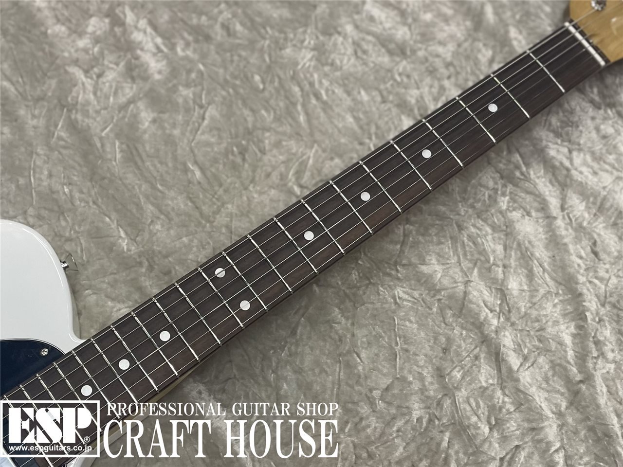 【即納可能】Tokai ATE-101/R / Olympic White 渋谷店【新春初売りお年玉セール対象商品】