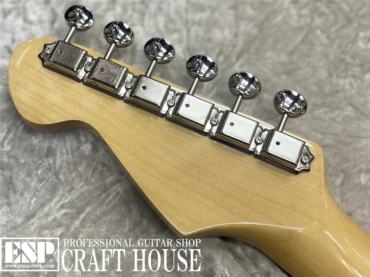 【即納可能】Tokai AST-101/R / Vintage White　渋谷店【新春初売りお年玉セール対象商品】