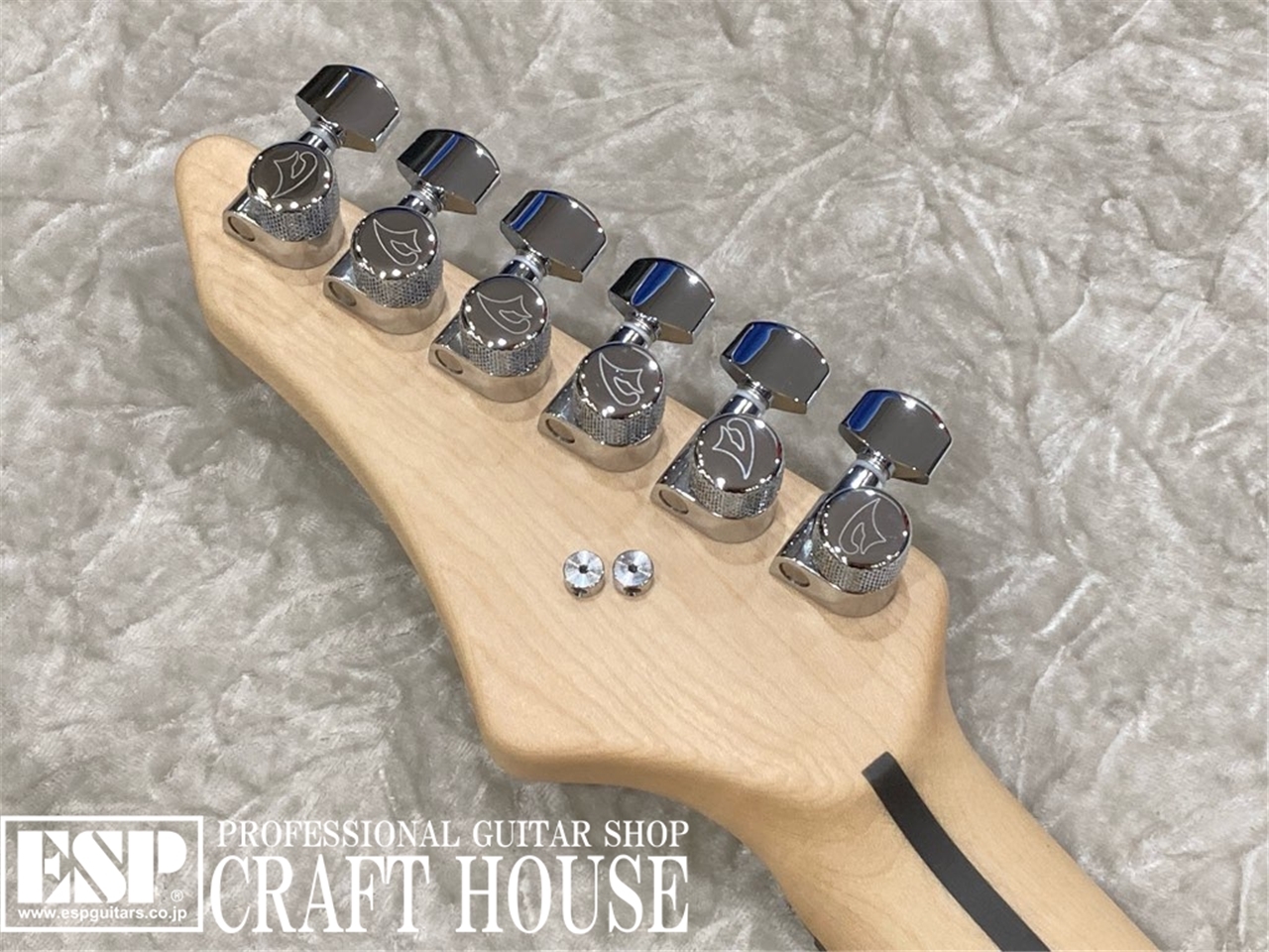 【即納可能】Vigier Guitars RART Excalibur Supra HSH VE6-CVS1 / #19 / Velours Noir　渋谷店【新春初売りお年玉セール対象商品】