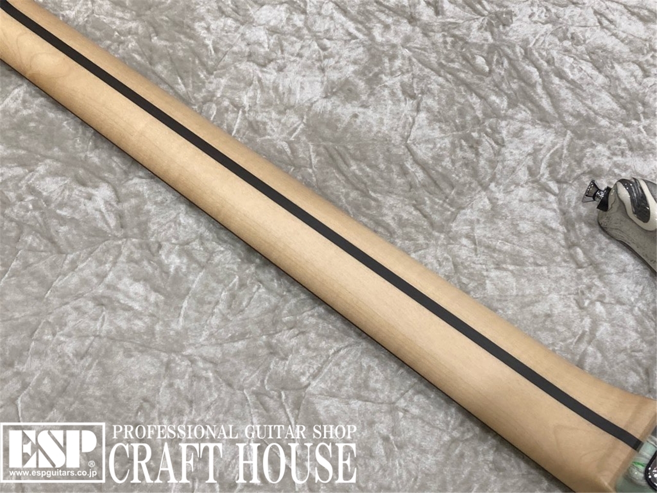 【即納可能】Vigier Guitars RART Excalibur Supra HSH VE6-CVS1 / #19 / Velours Noir　渋谷店【新春初売りお年玉セール対象商品】