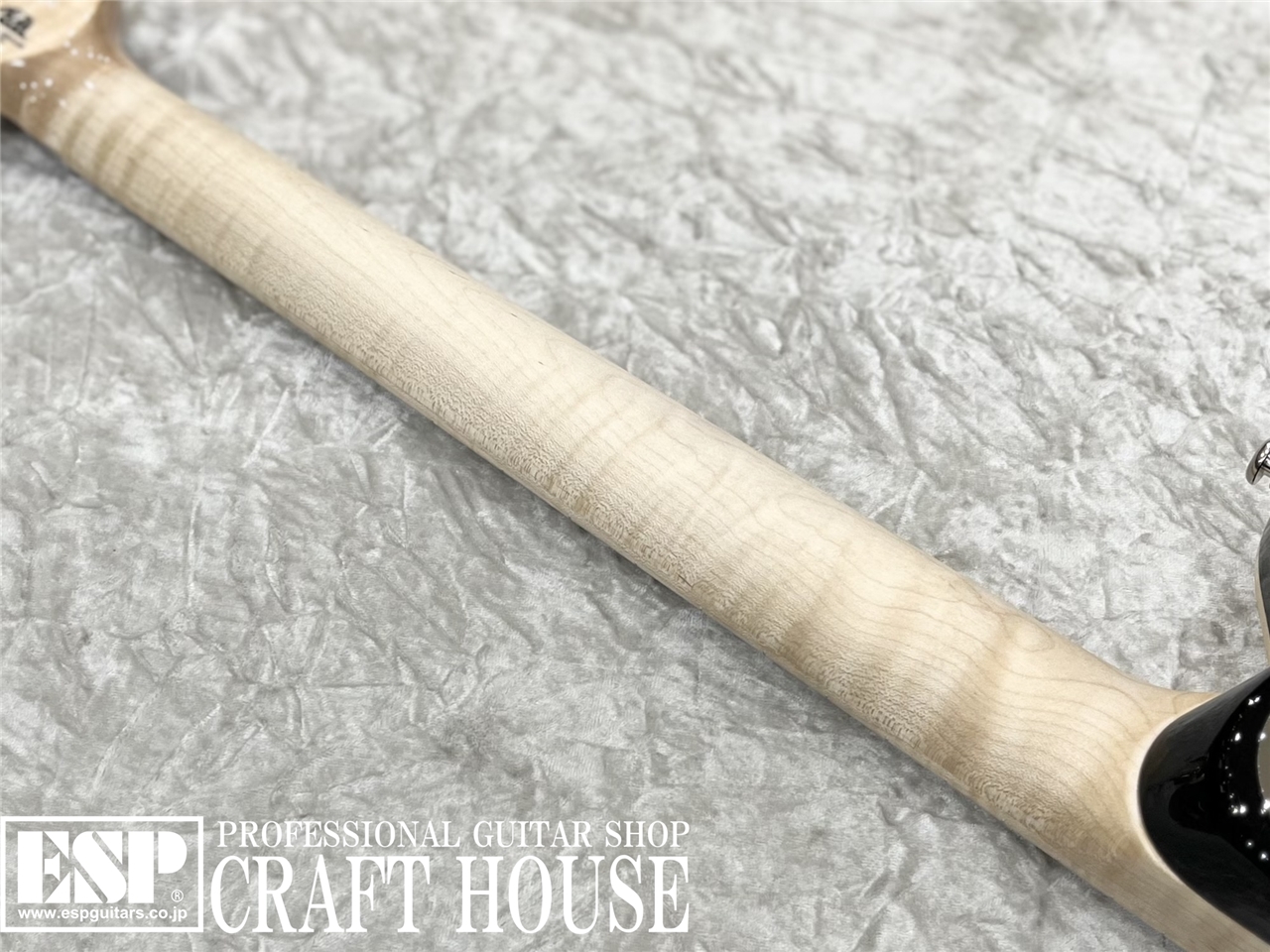 【即納可能】MUSIC MAN AXIS KID SPECIAL / Trans Gold / Quilt MH　渋谷店【新春初売りお年玉セール対象商品】