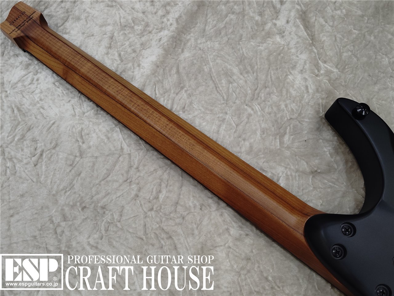 【即納可能】Standard NX 6 Plini Edition Mirage 渋谷店【新春初売りお年玉セール対象商品】