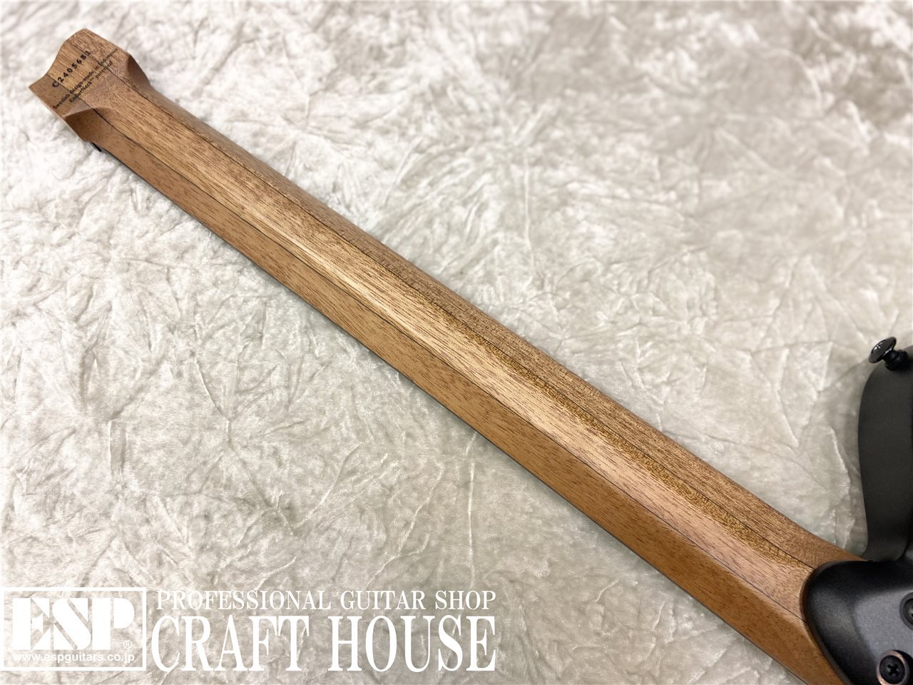 【即納可能】strandberg Sälen NX 6 Tremolo Plini Edition / Black 渋谷店【新春初売りお年玉セール対象商品】