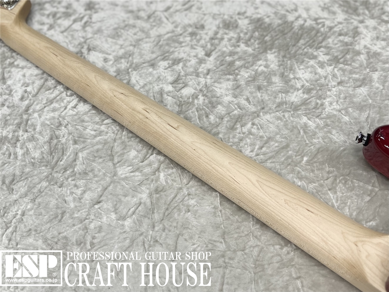 【即納可能】dragonfly CL-DJB4 ASH / Intense Red　渋谷店【新春初売りお年玉セール対象商品】