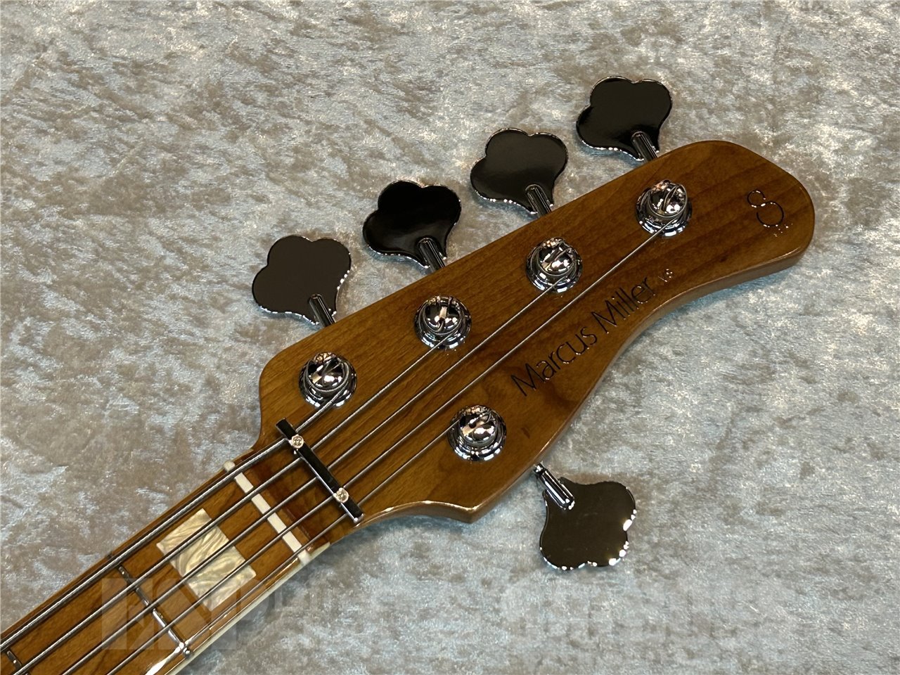 【即納可能】【OUTLET】Sire V8 5st (Natural) 広島店 【新春初売りお年玉セール対象商品】