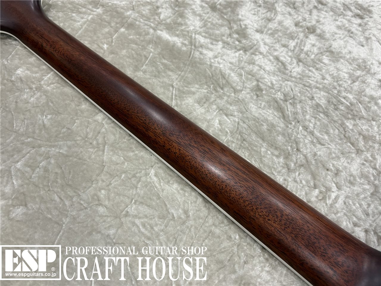 ※ご商談専用【即納可能】 Zemaitis THE PORTRAIT Metal Front / Natural　渋谷店