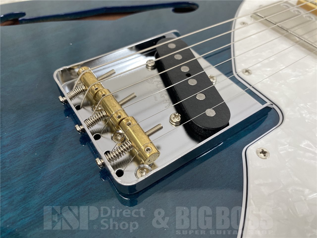 【即納可能】FUJIGEN(フジゲン) 	NTE110MMHT(Transparent Blue) お茶の水駅前店(東京)