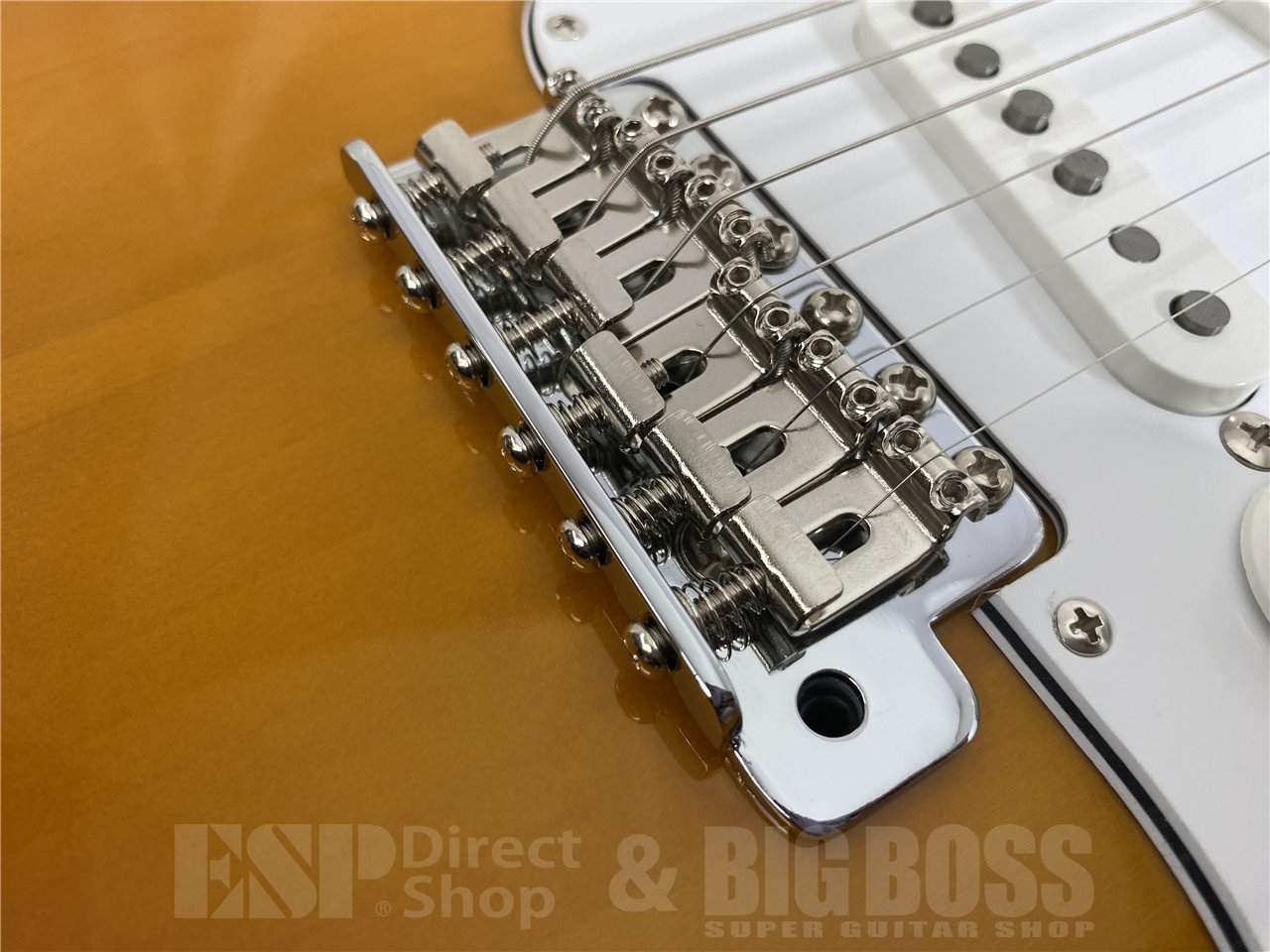 【即納可能】FUJIGEN(フジゲン) BCST100RBD-3TS (3Tone Sunburst) お茶の水駅前店(東京)