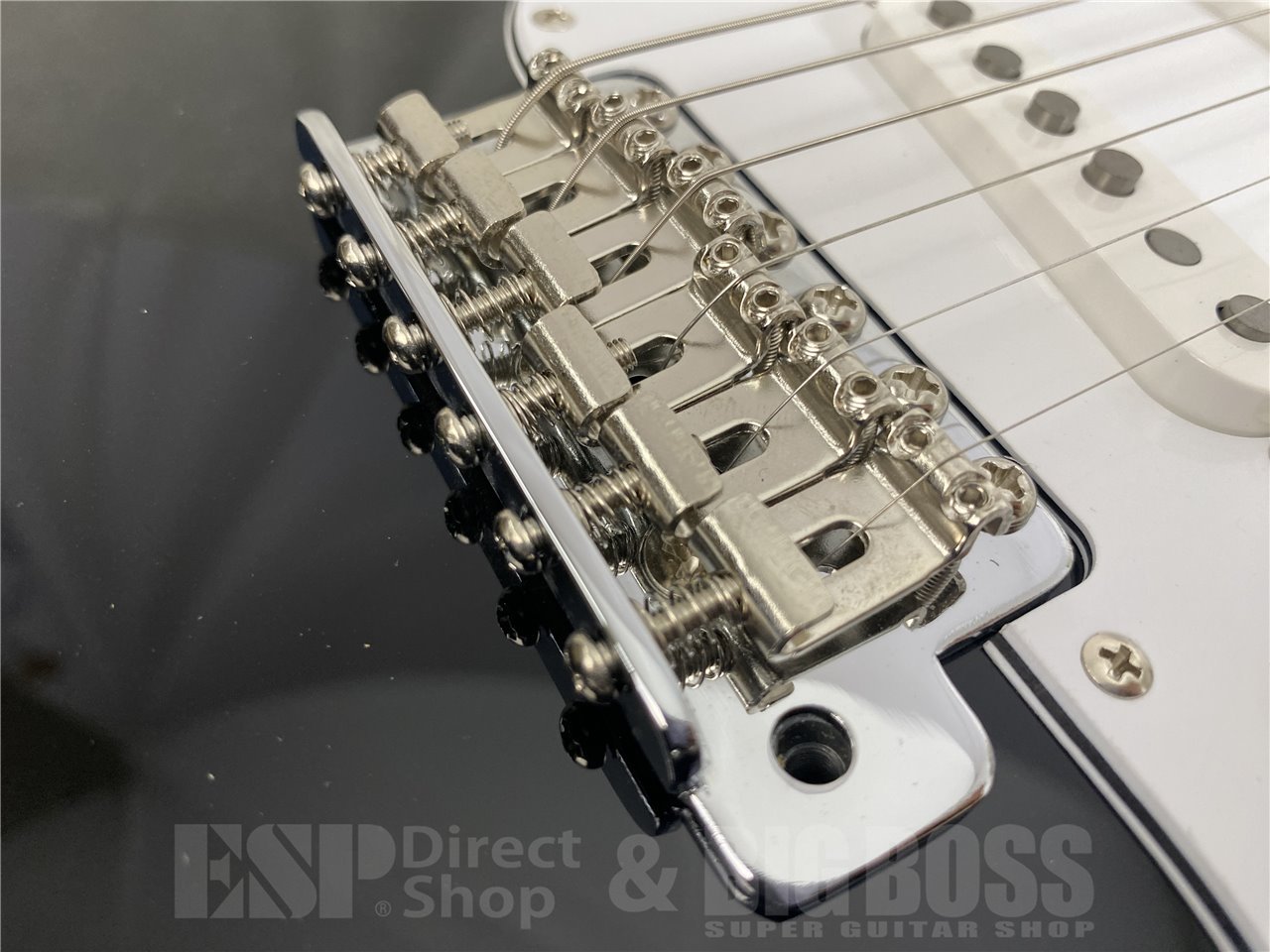 【即納可能】FUJIGEN(フジゲン) BCST100RBD-BK(Black) お茶の水駅前店(東京)