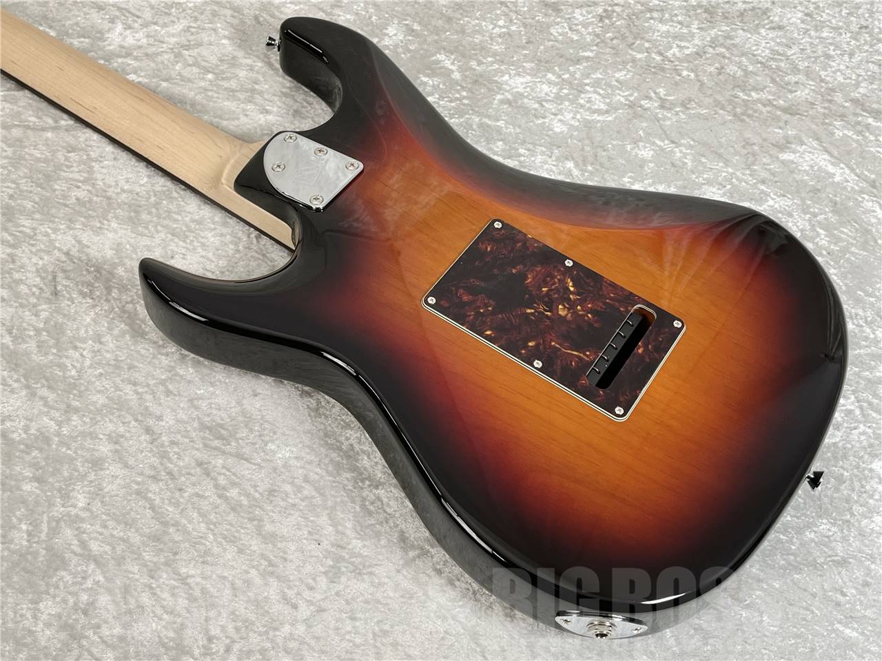 【即納可能】EDWARDS(エドワーズ) E-SNAPPER-AL/R (3 Tone Sunburst) お茶の水駅前店・別館