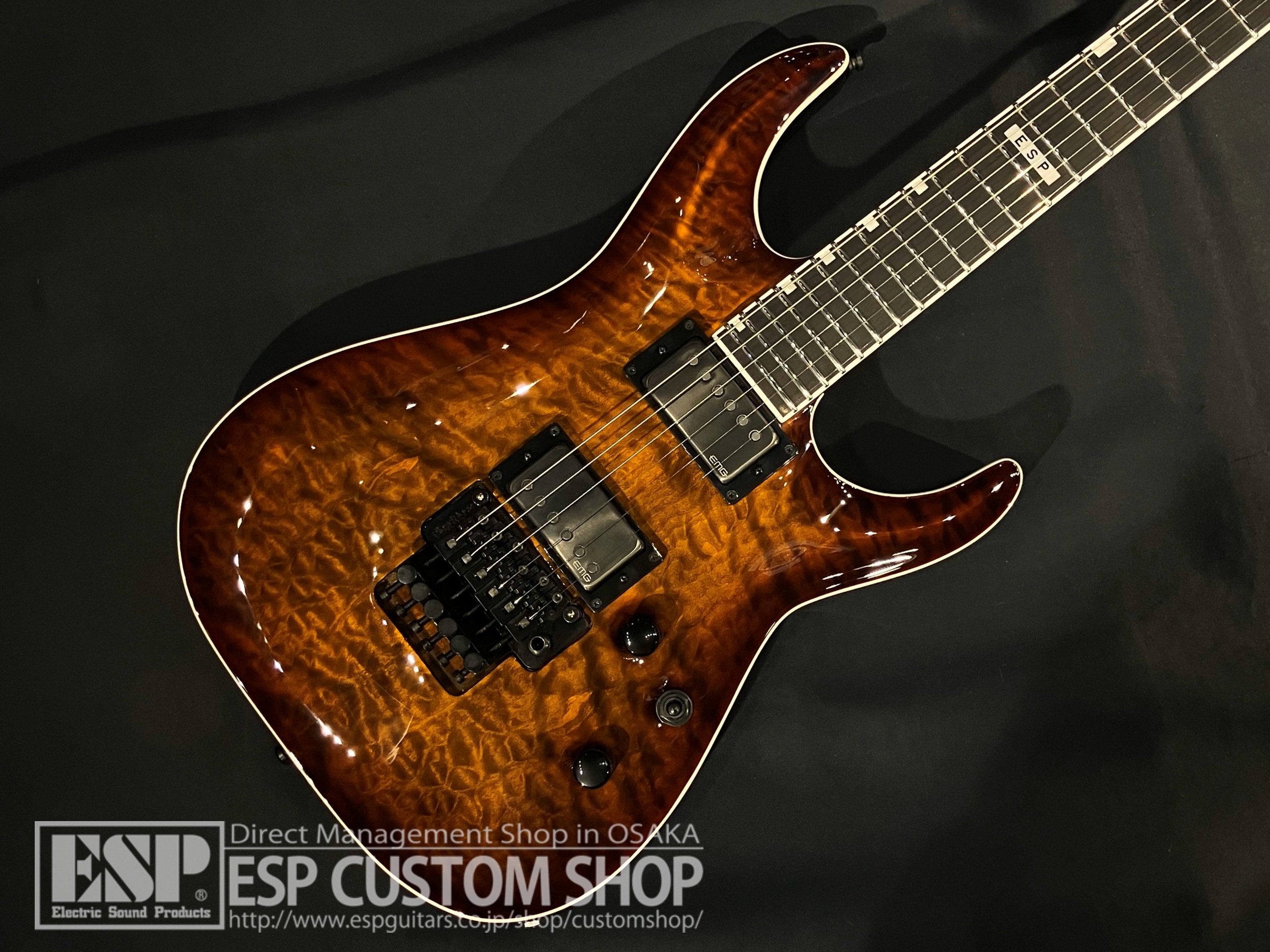 【即納可能】E-II(イーツー) HORIZON FR-II Tiger Eye Sunburst 大阪店