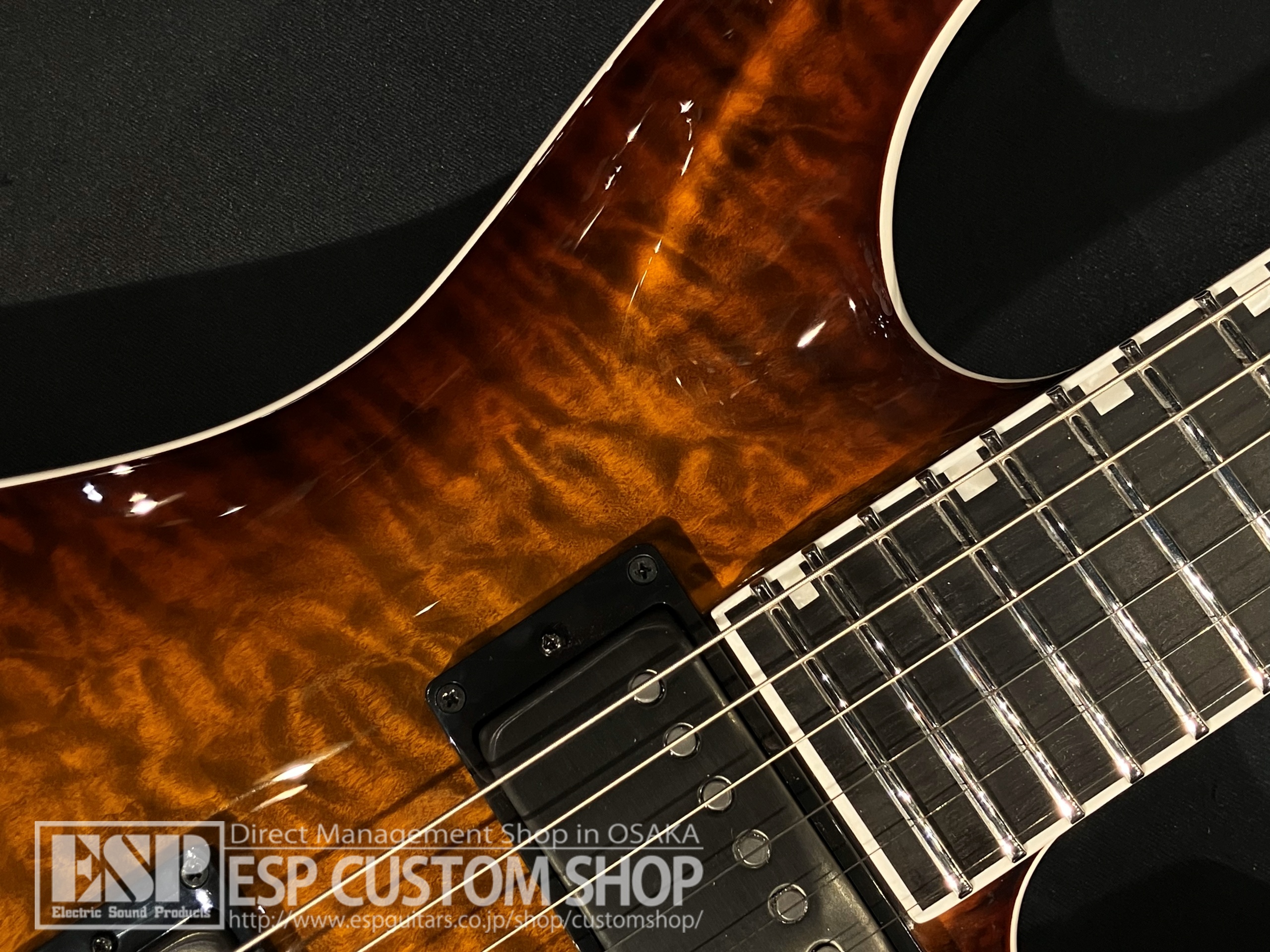 【即納可能】E-II(イーツー) HORIZON FR-II Tiger Eye Sunburst 大阪店