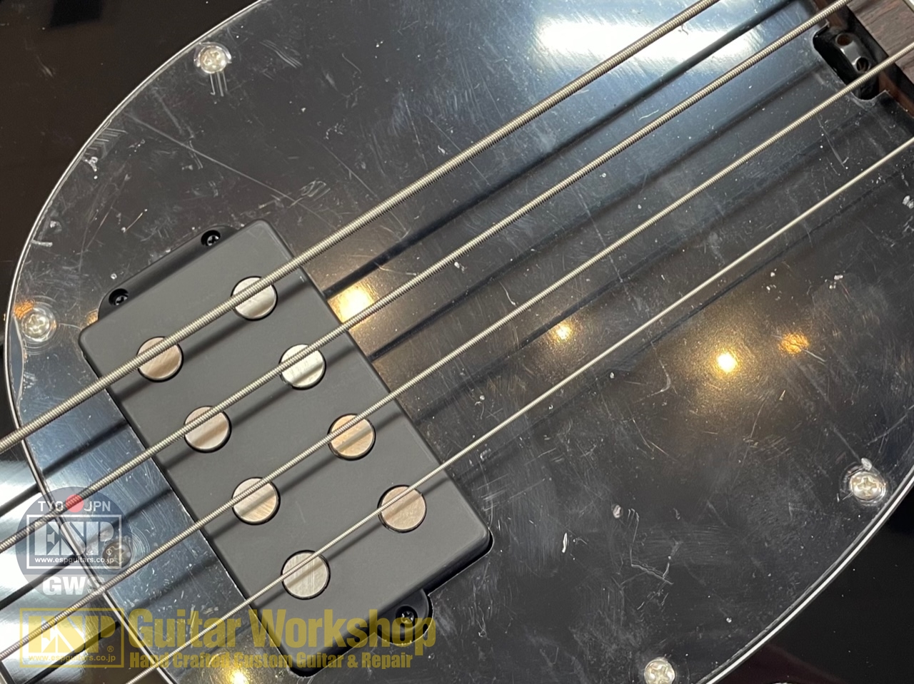 【即納可能】Sterling by MUSIC MAN StingRay RAY34/ Black GWS