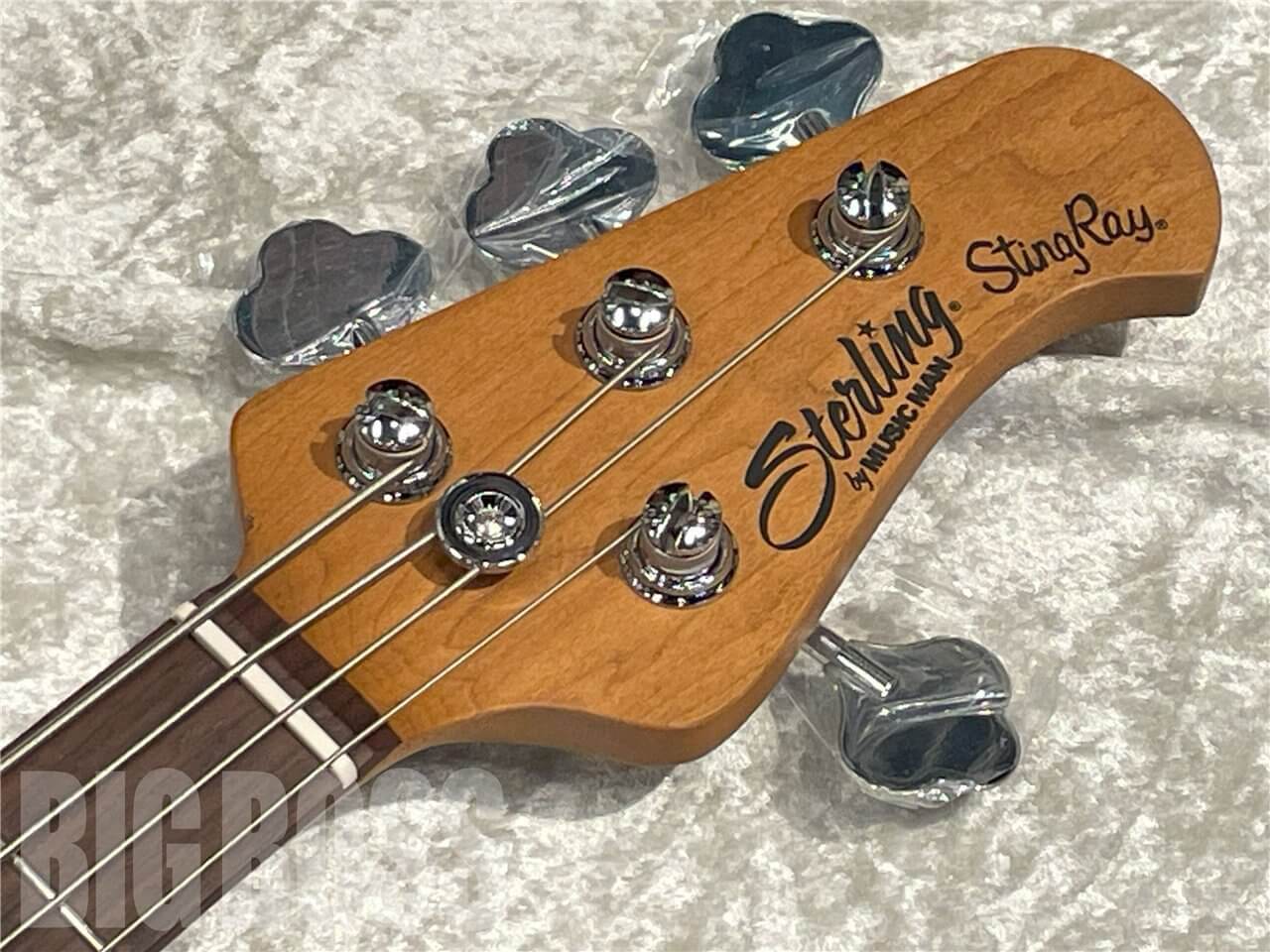 【即納可能】Sterling by MUSIC MAN（スターリンバイミュージックマン）StingRay RAY34（Black）　名古屋店