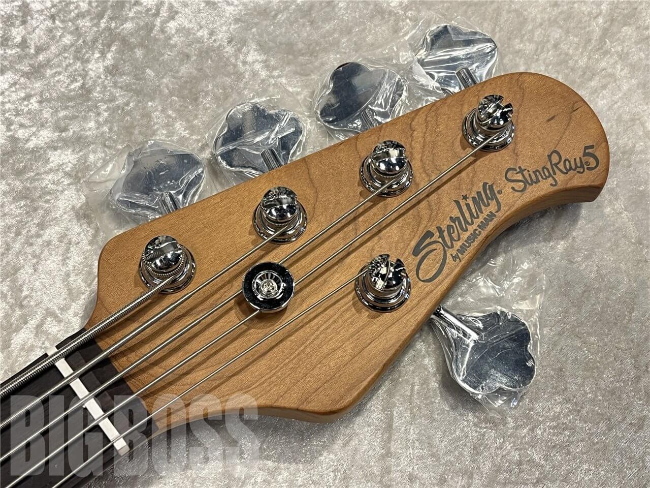 【即納可能】Sterling by MUSIC MAN（スターリンバイミュージックマン）StingRay 5 RAY35 HH（Charcoal Frost）　名古屋店