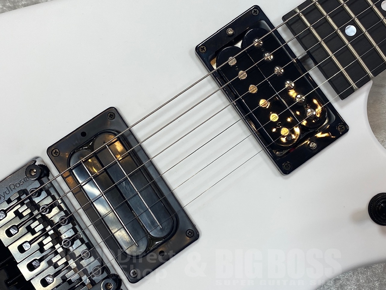 【即納可能】Washburn N4 GWH/GWS
