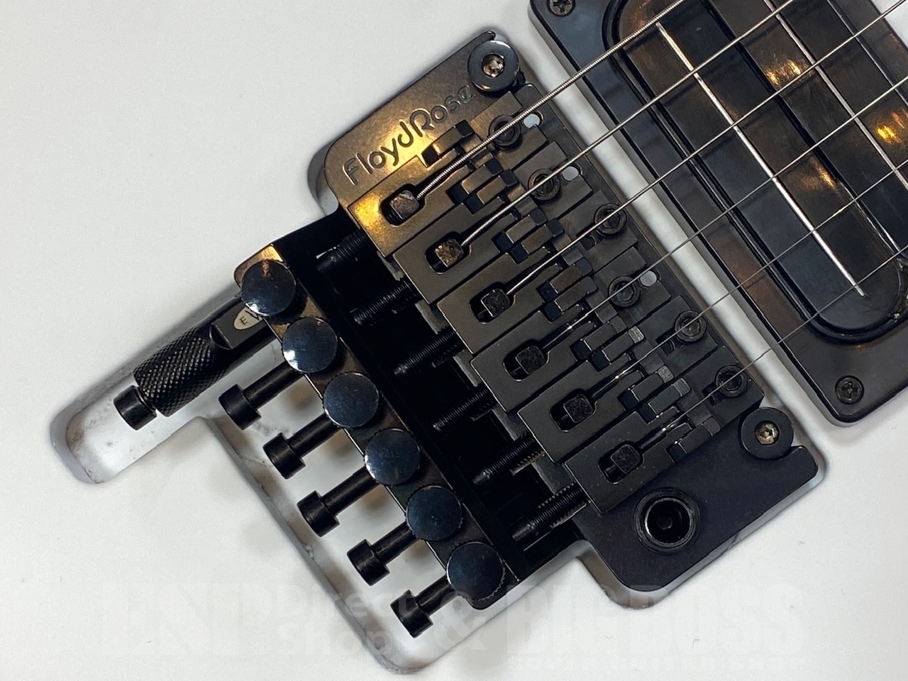 【即納可能】Washburn N4 GWH/GWS