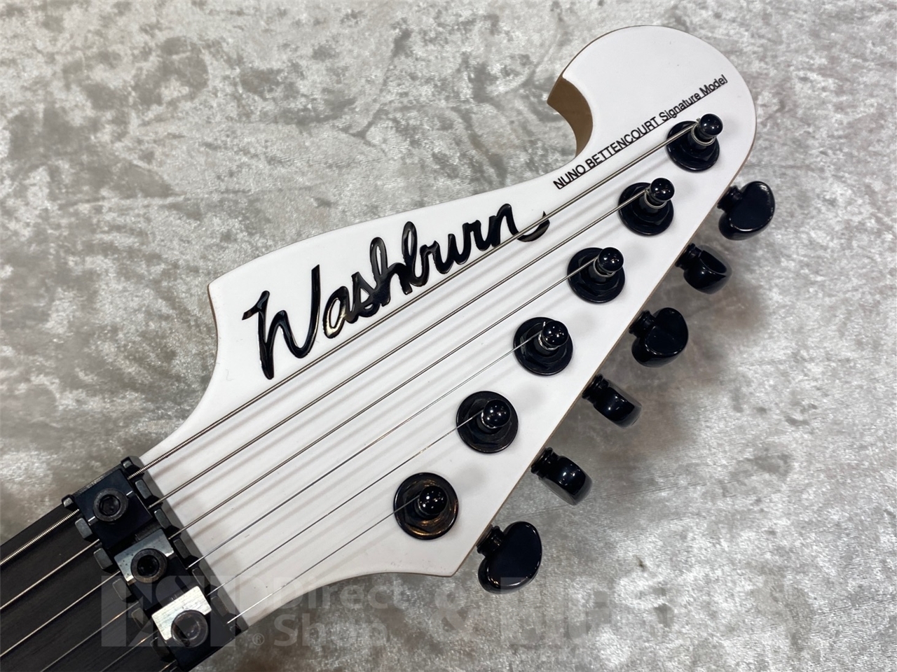 【即納可能】Washburn N4 GWH/GWS