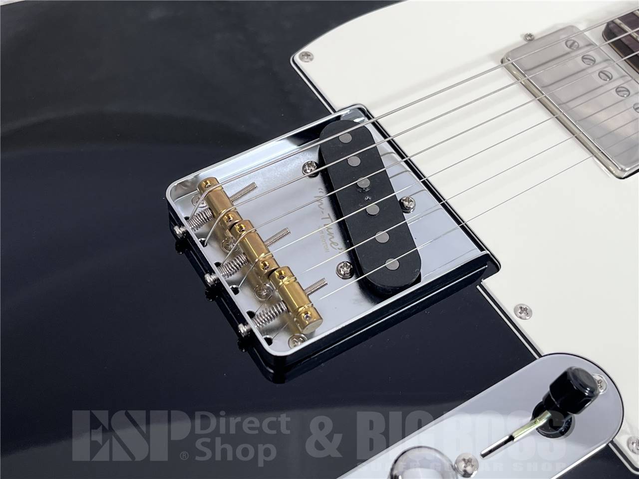 【即納可能】FUJIGEN(フジゲン) NTE210RAH-BK(エレキギター) お茶の水駅前店・別館