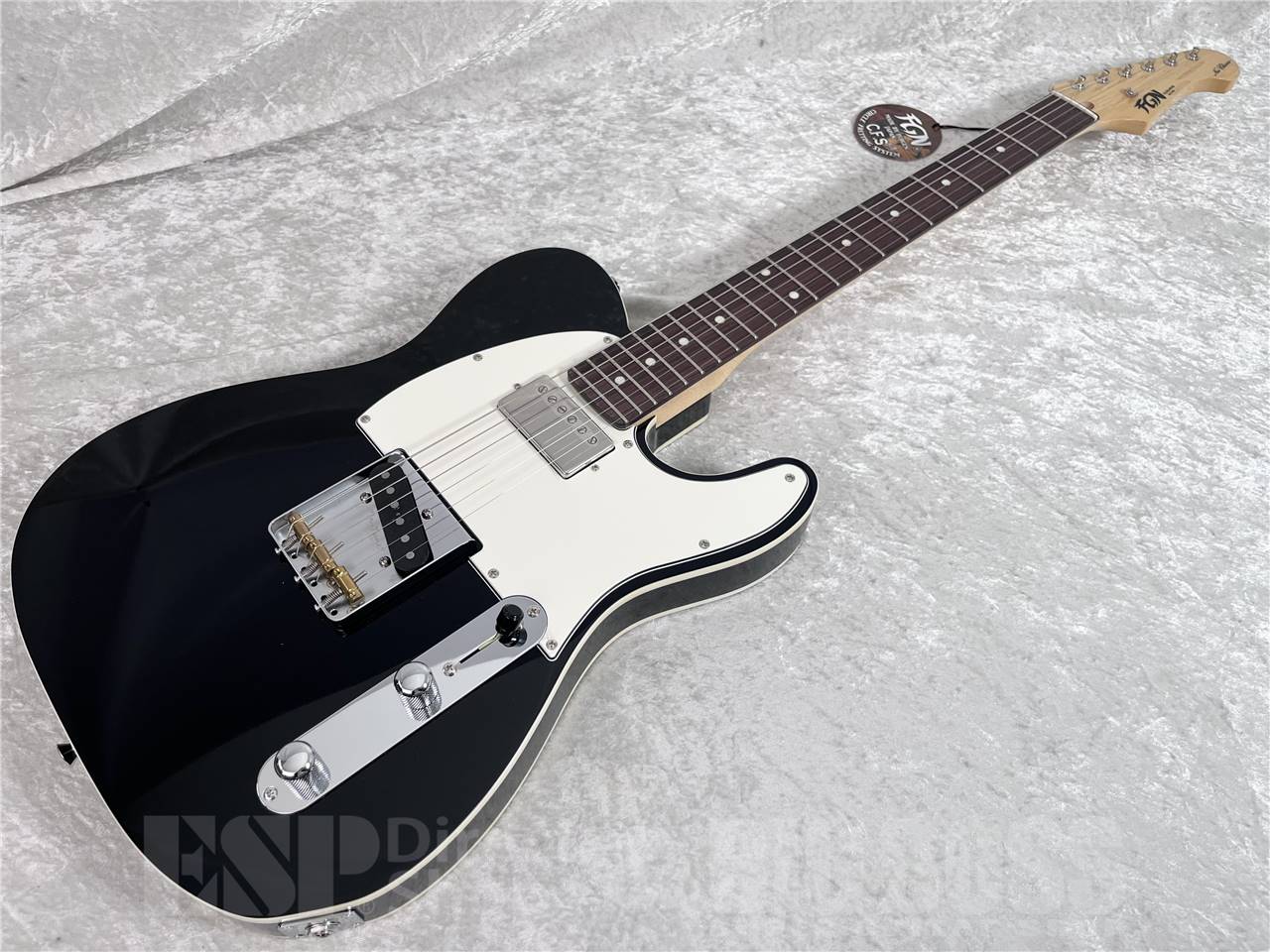 【即納可能】FUJIGEN(フジゲン) NTE210RAH-BK(エレキギター) お茶の水駅前店・別館